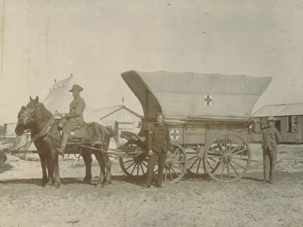 Horses pulling an ambulance