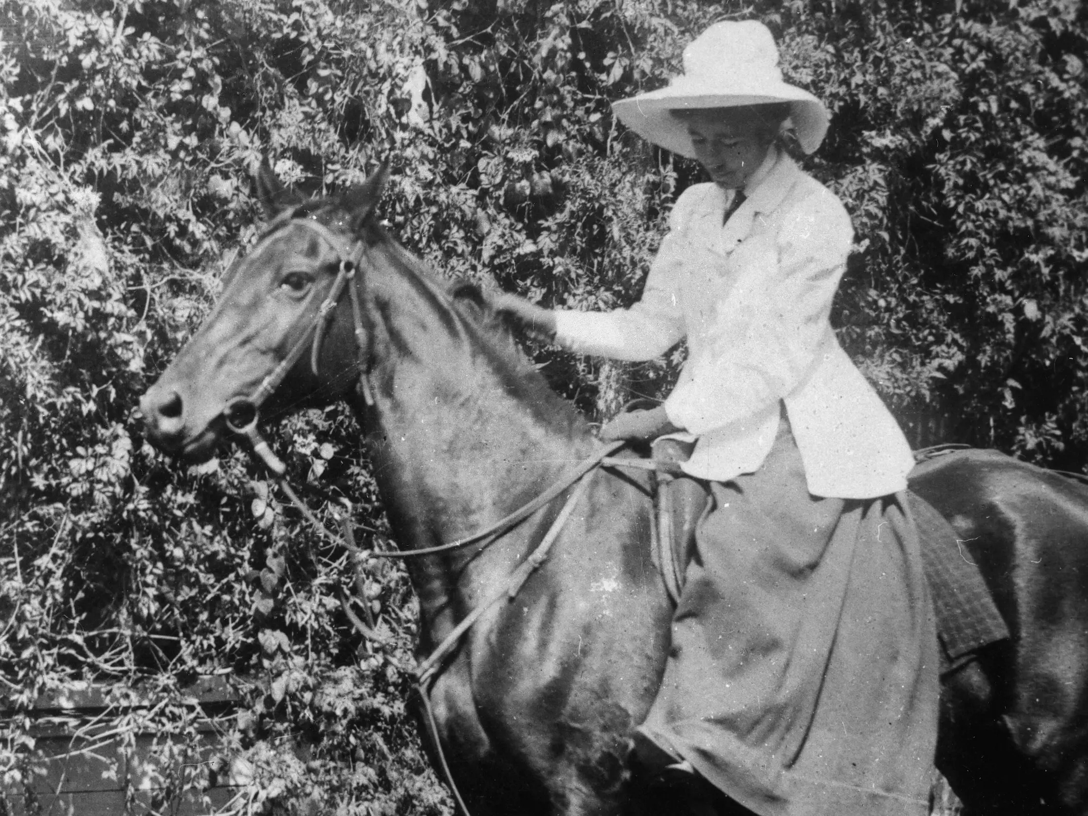 Woman riding a horse