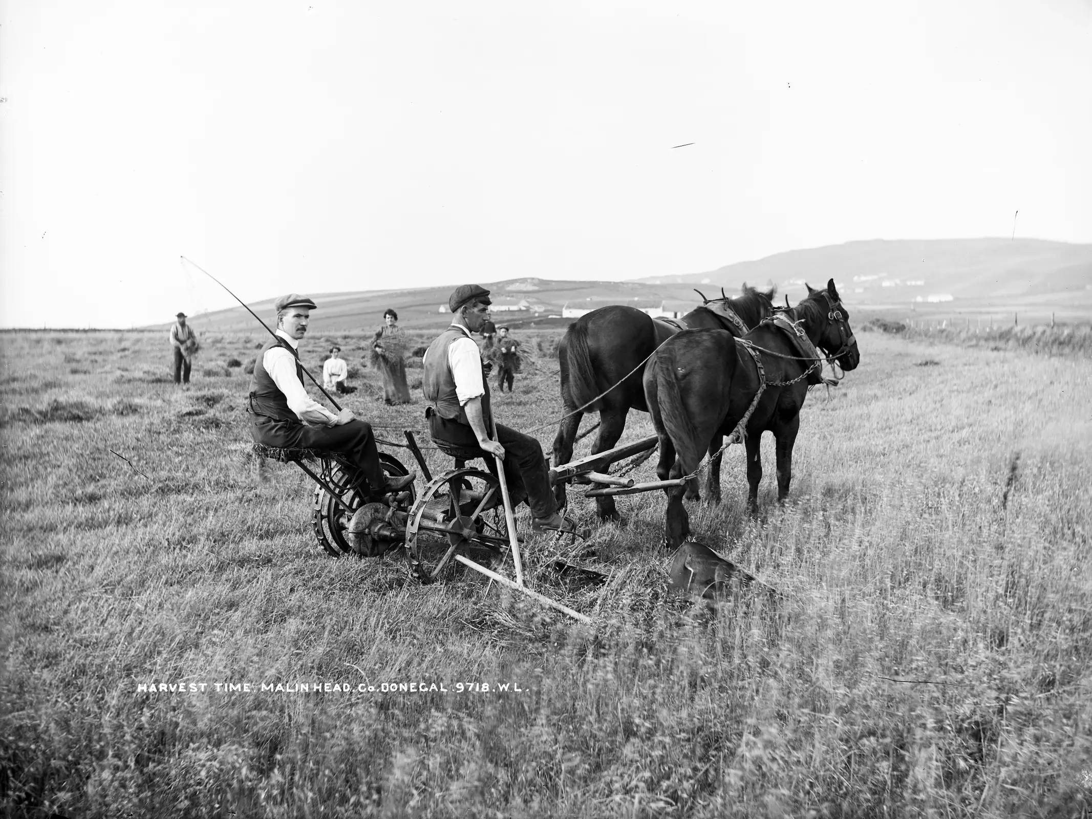Two men on a horse drawn harvester