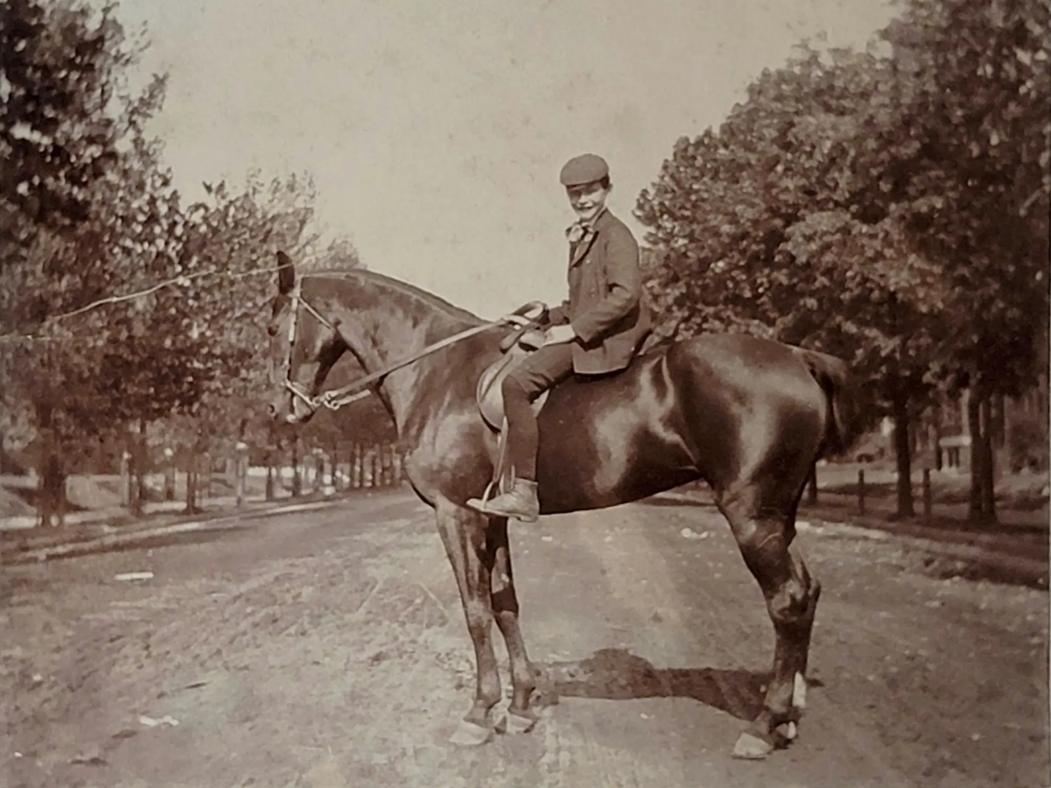 A boy on a horse