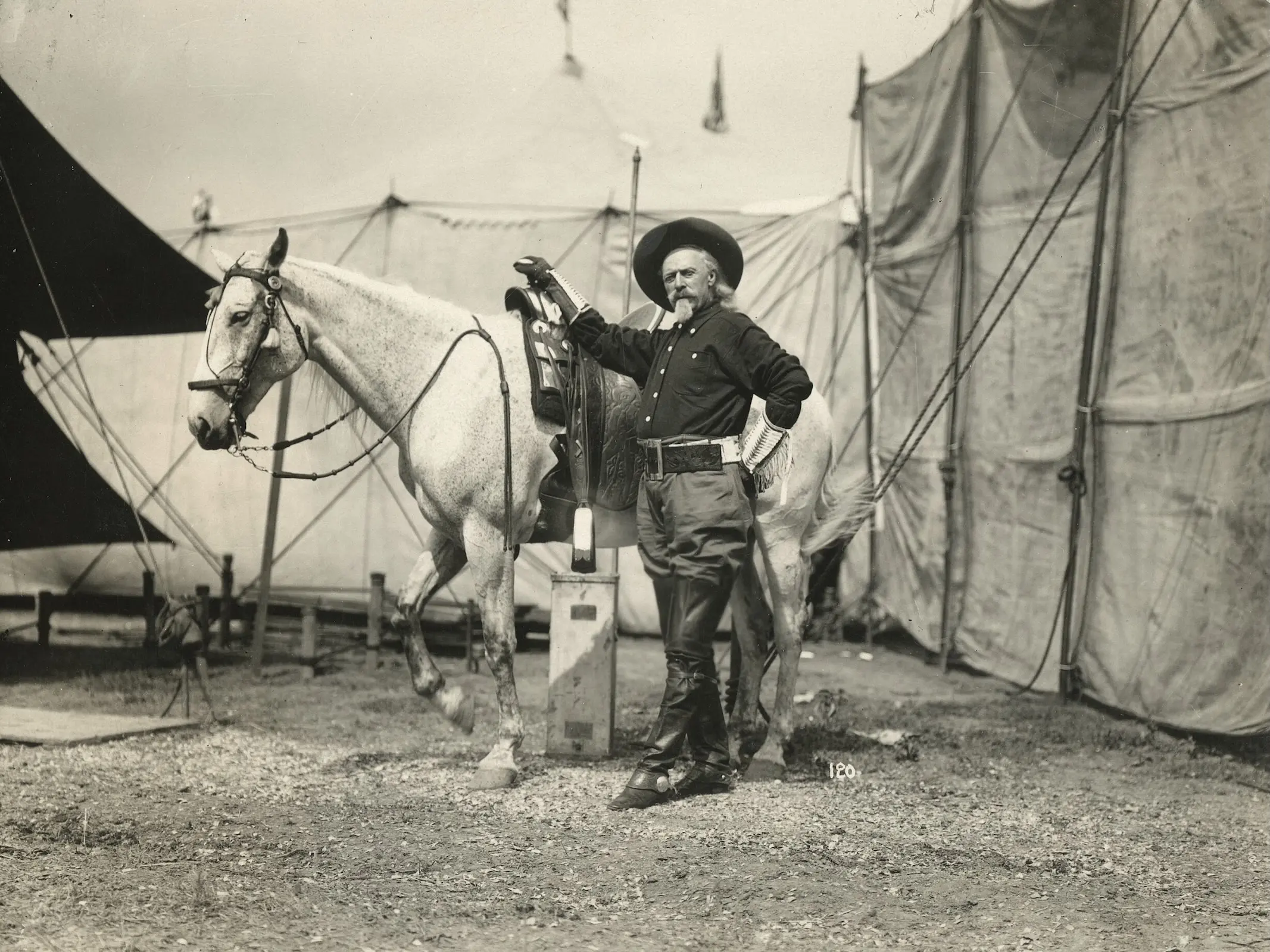 Man standing with a horse in front of show tents
