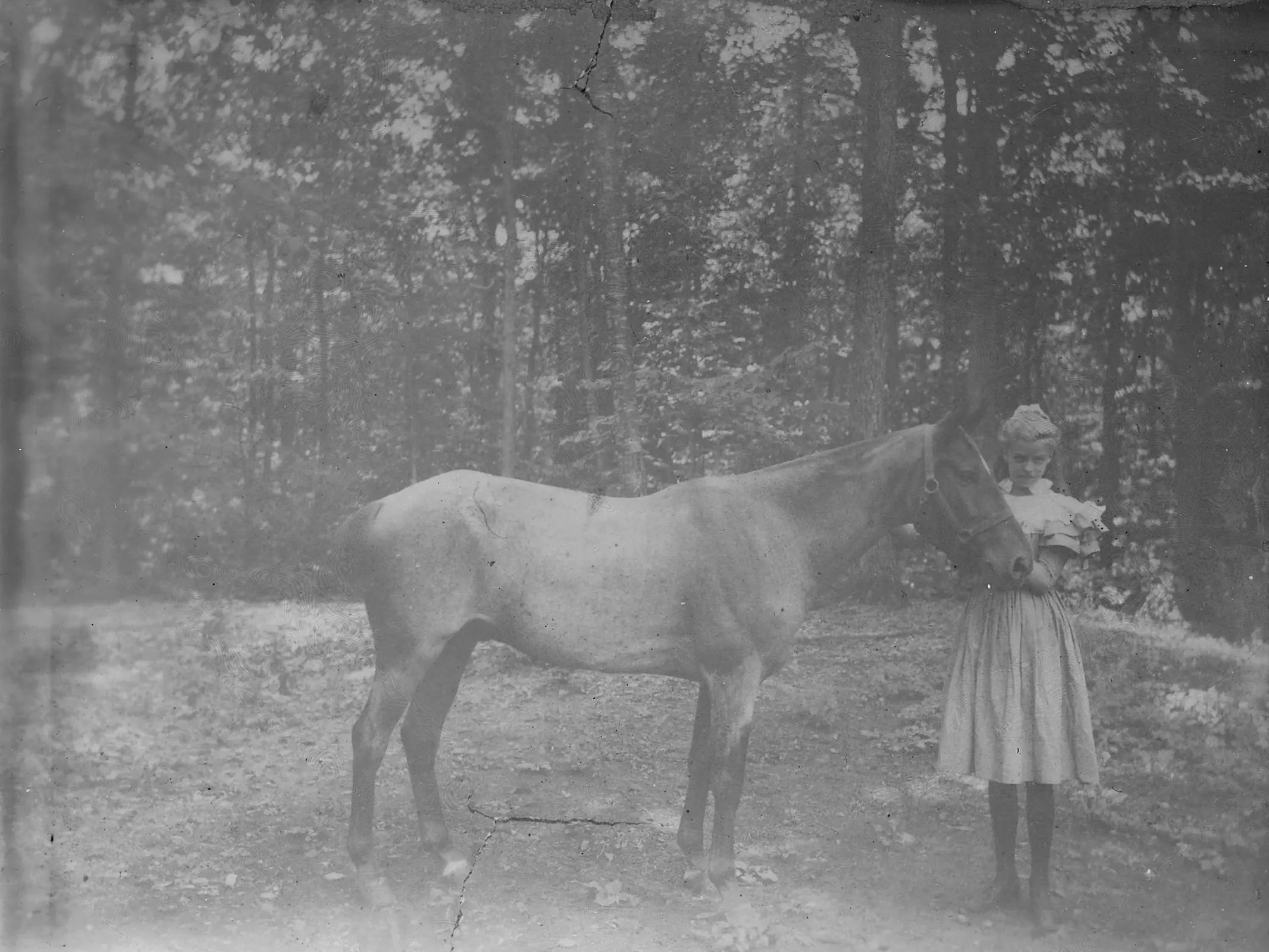Man standing with a horse in front of show tents