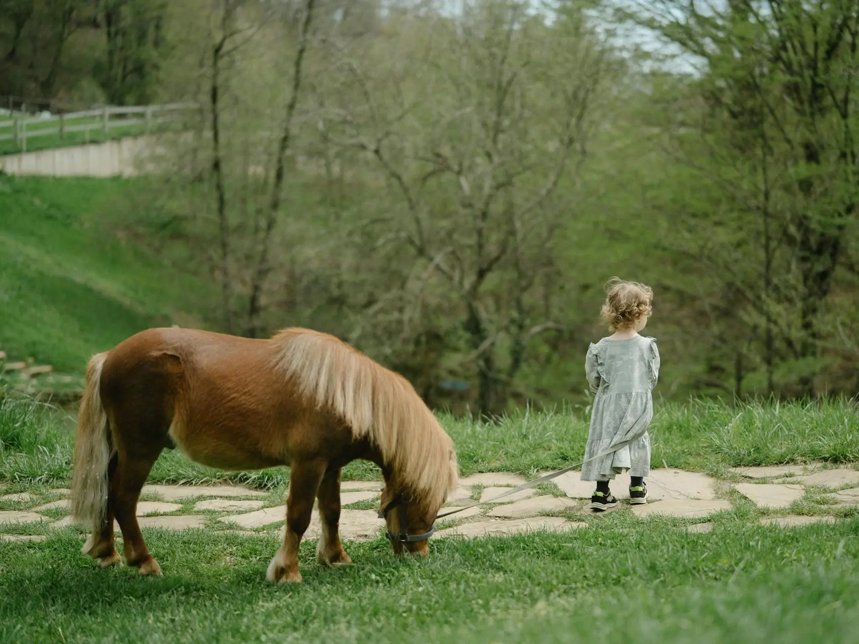 Young child standing in the grass with a little pony