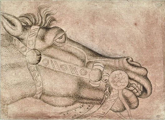 Pisanello Horse Sketch