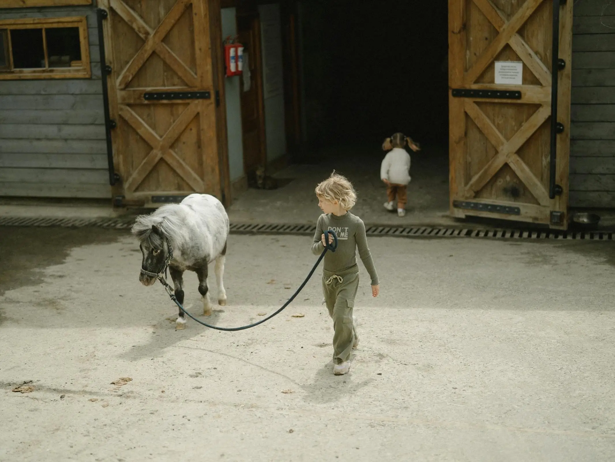 Horse Barn