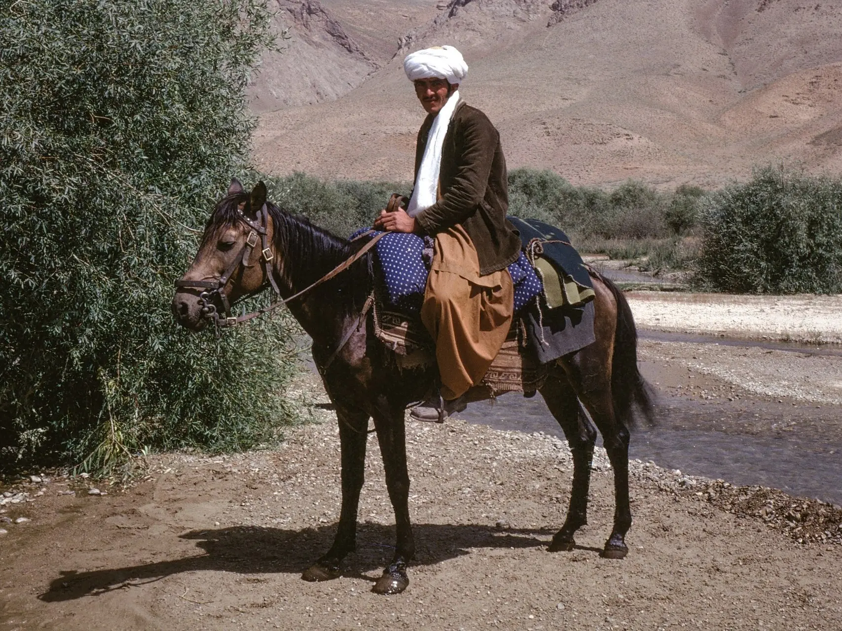 Qatgani Horse