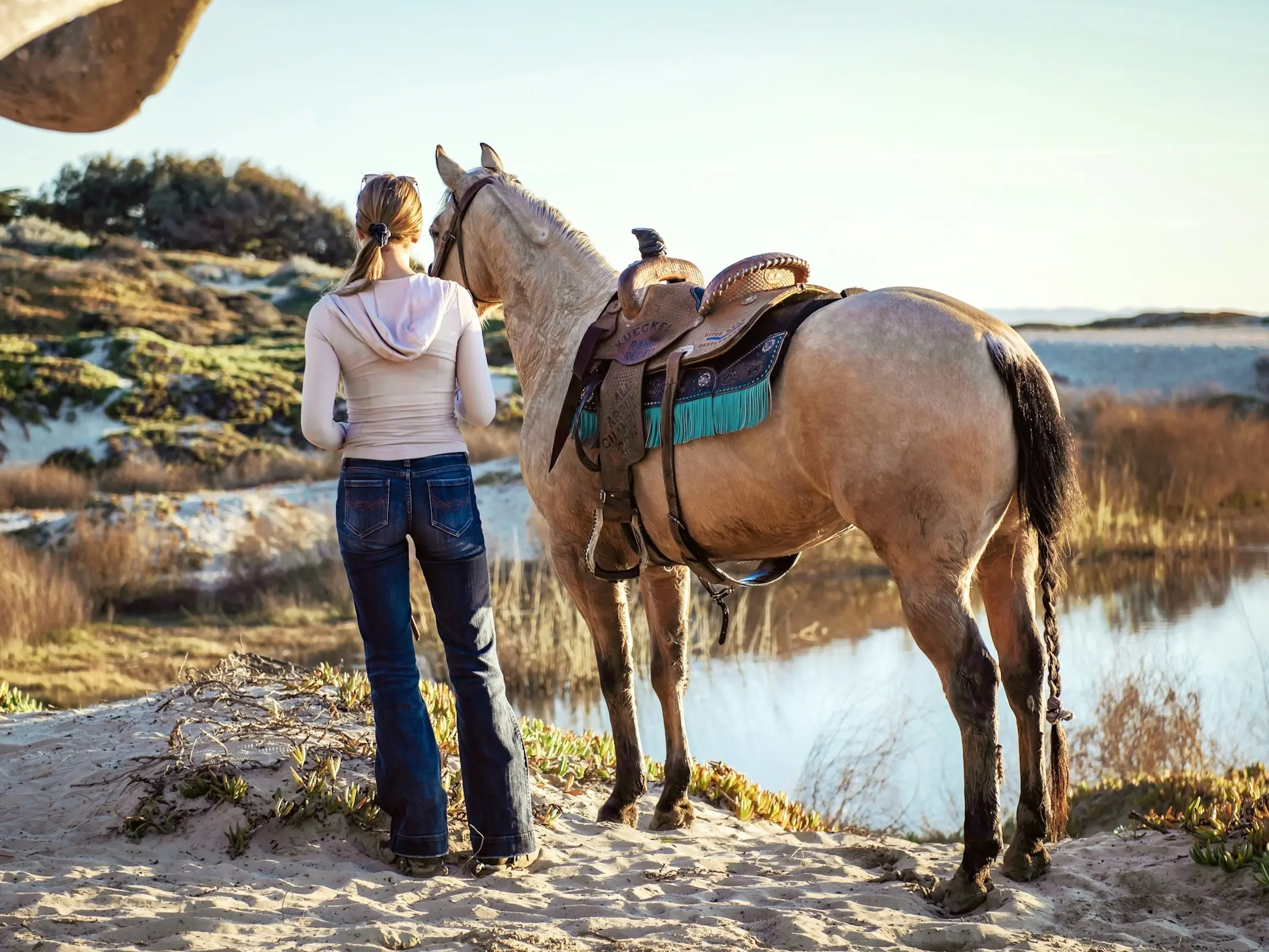 Quarter Horse hunter type