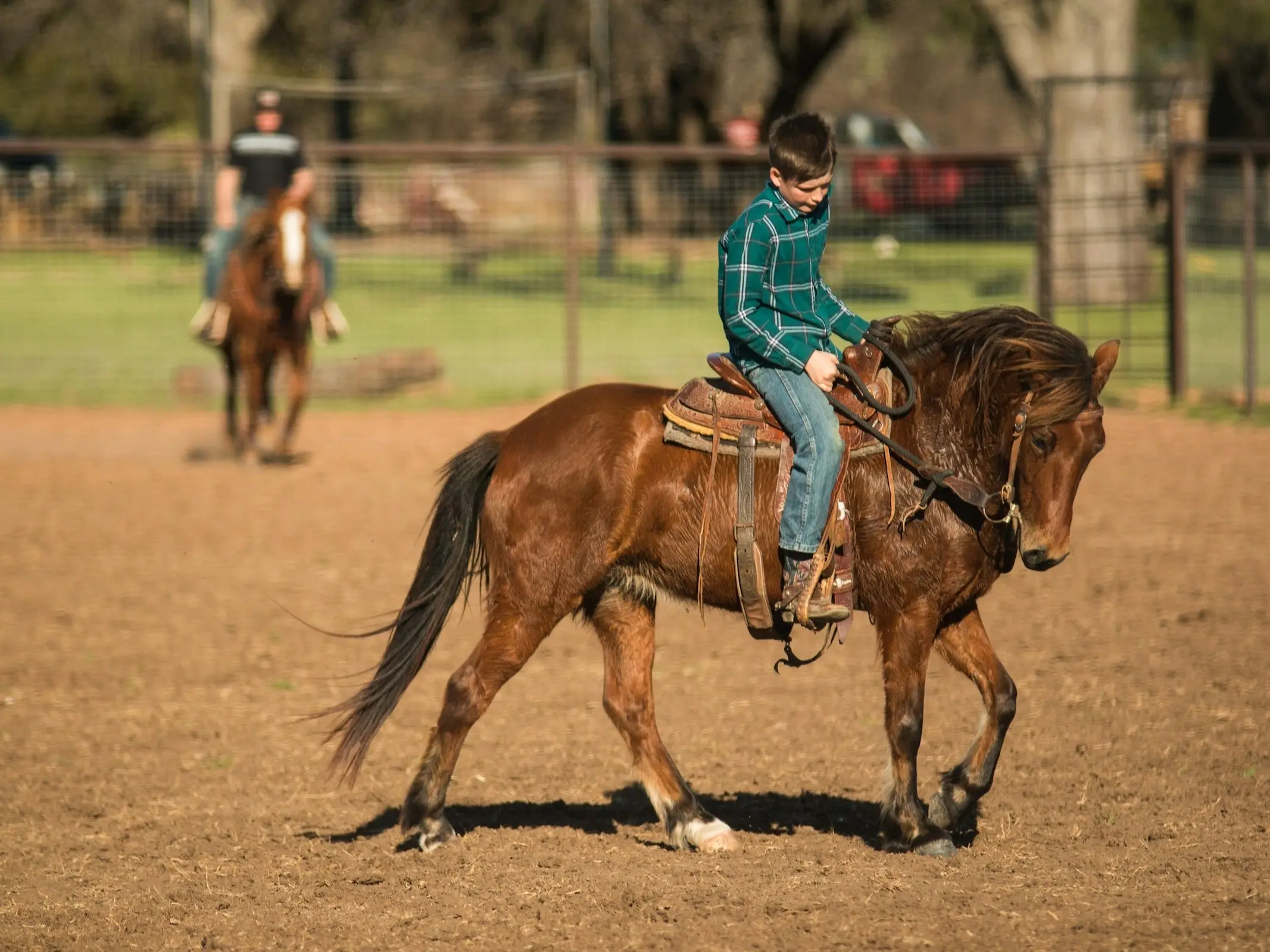 Quarter Pony