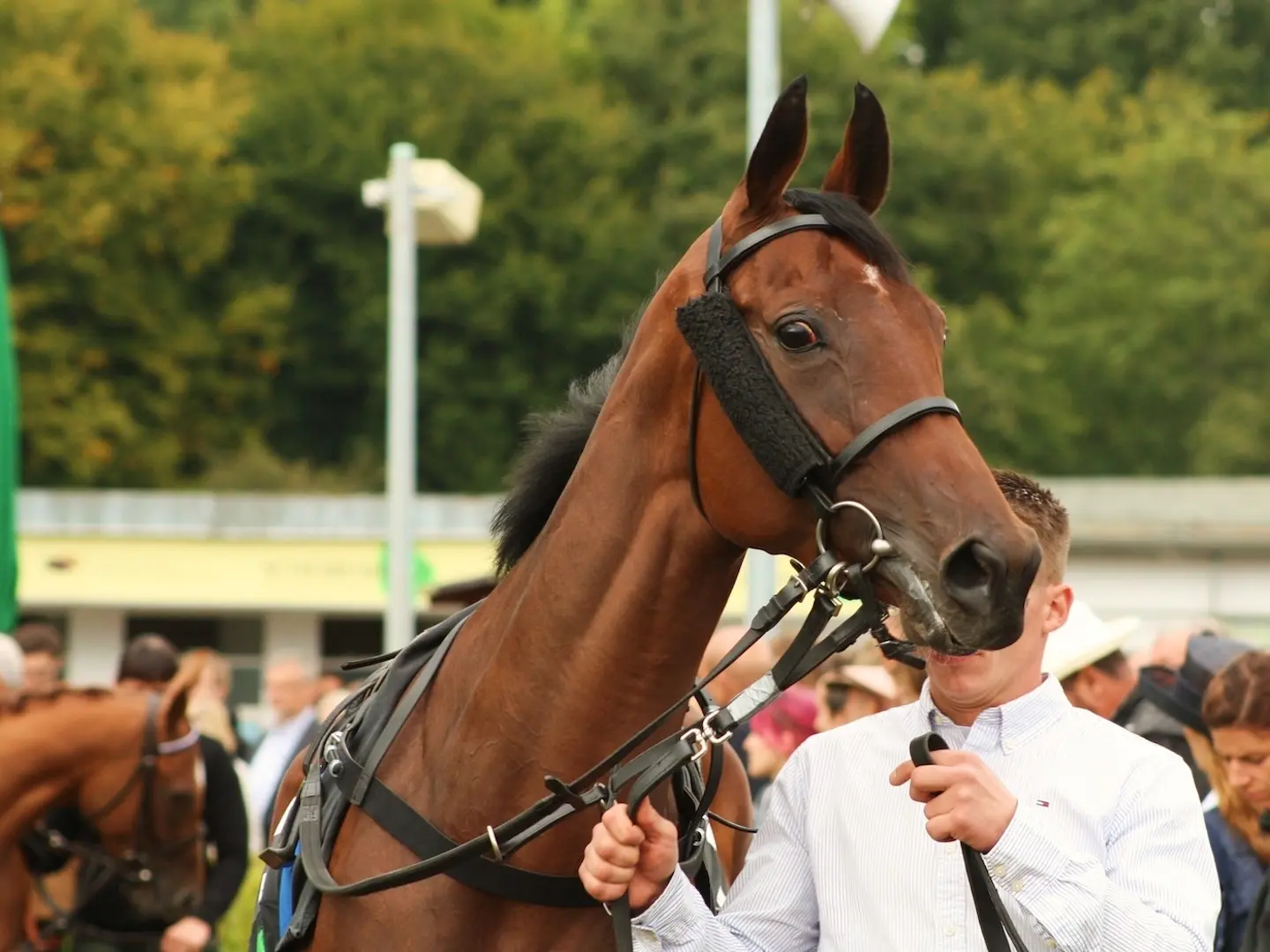 Man standing with a horse a racetrack