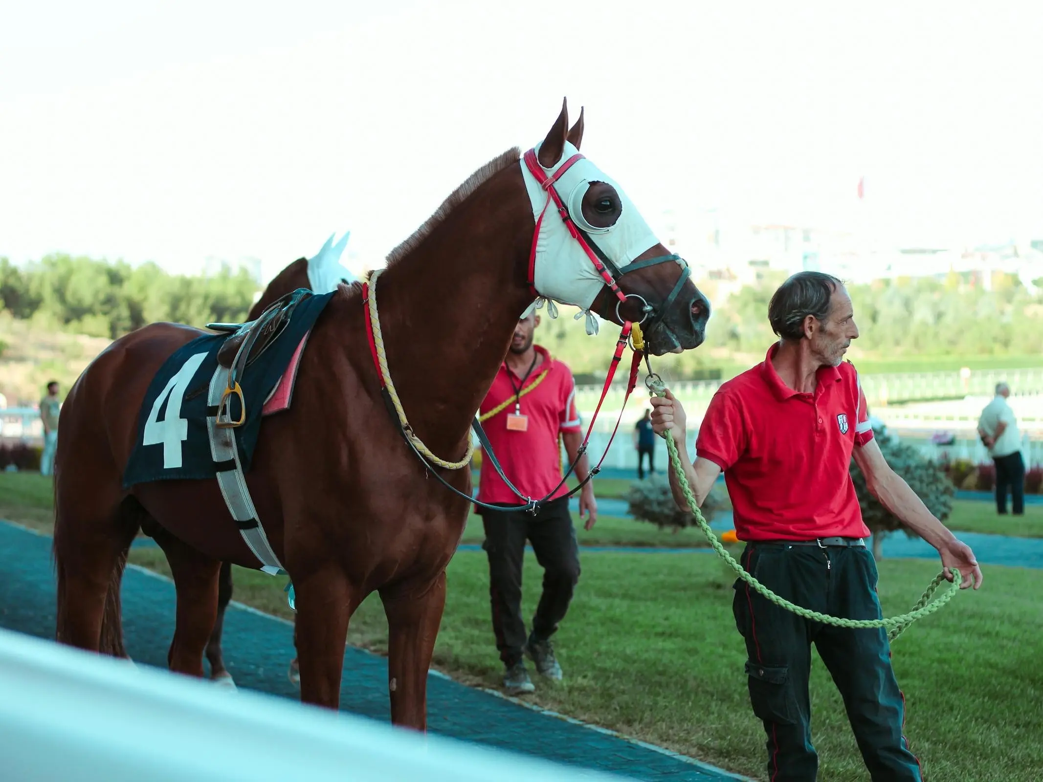 young man walkig a horse at a racetrack