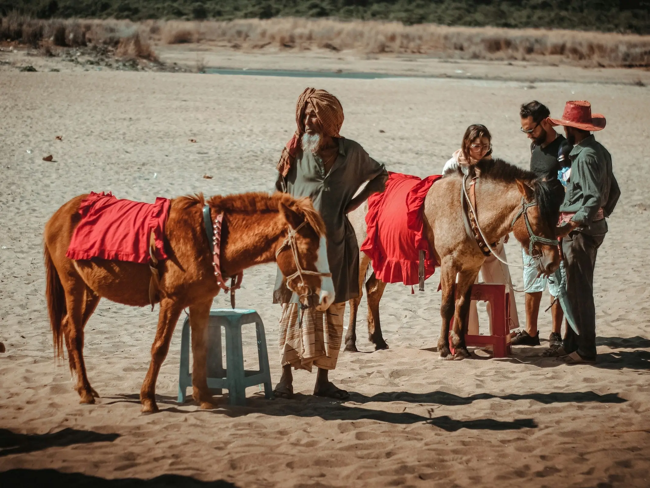 Rajshahi Pony