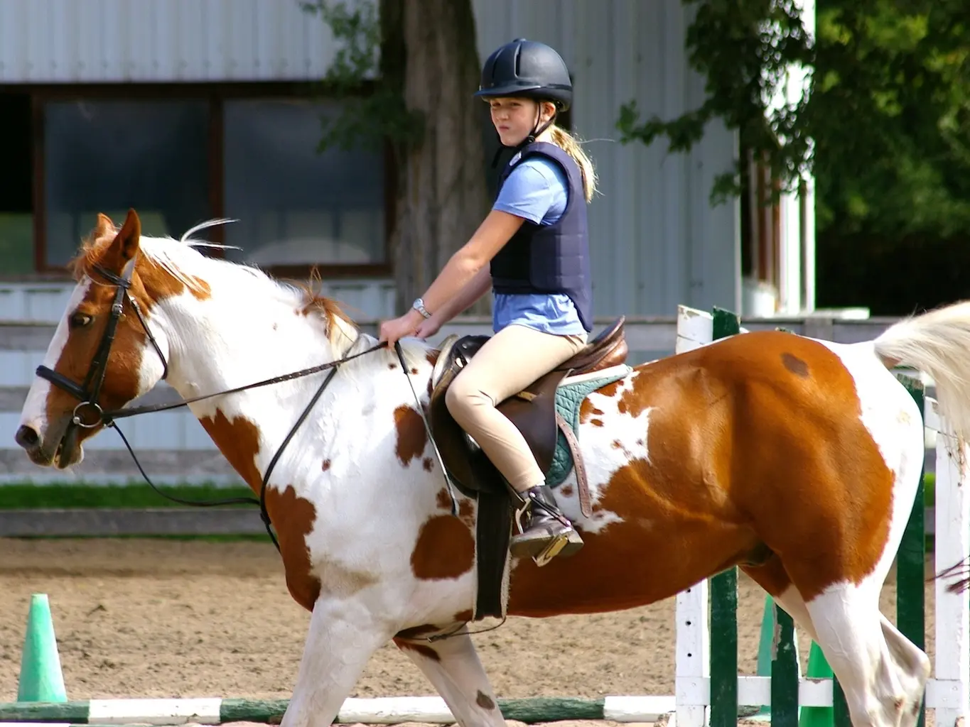 Horse with bend or spots