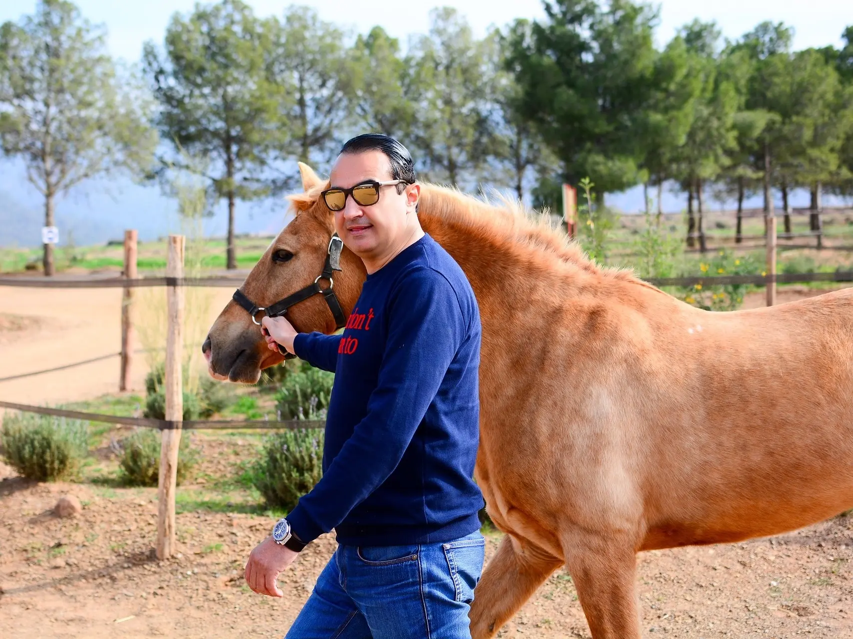 Horse with birdcatcher spots