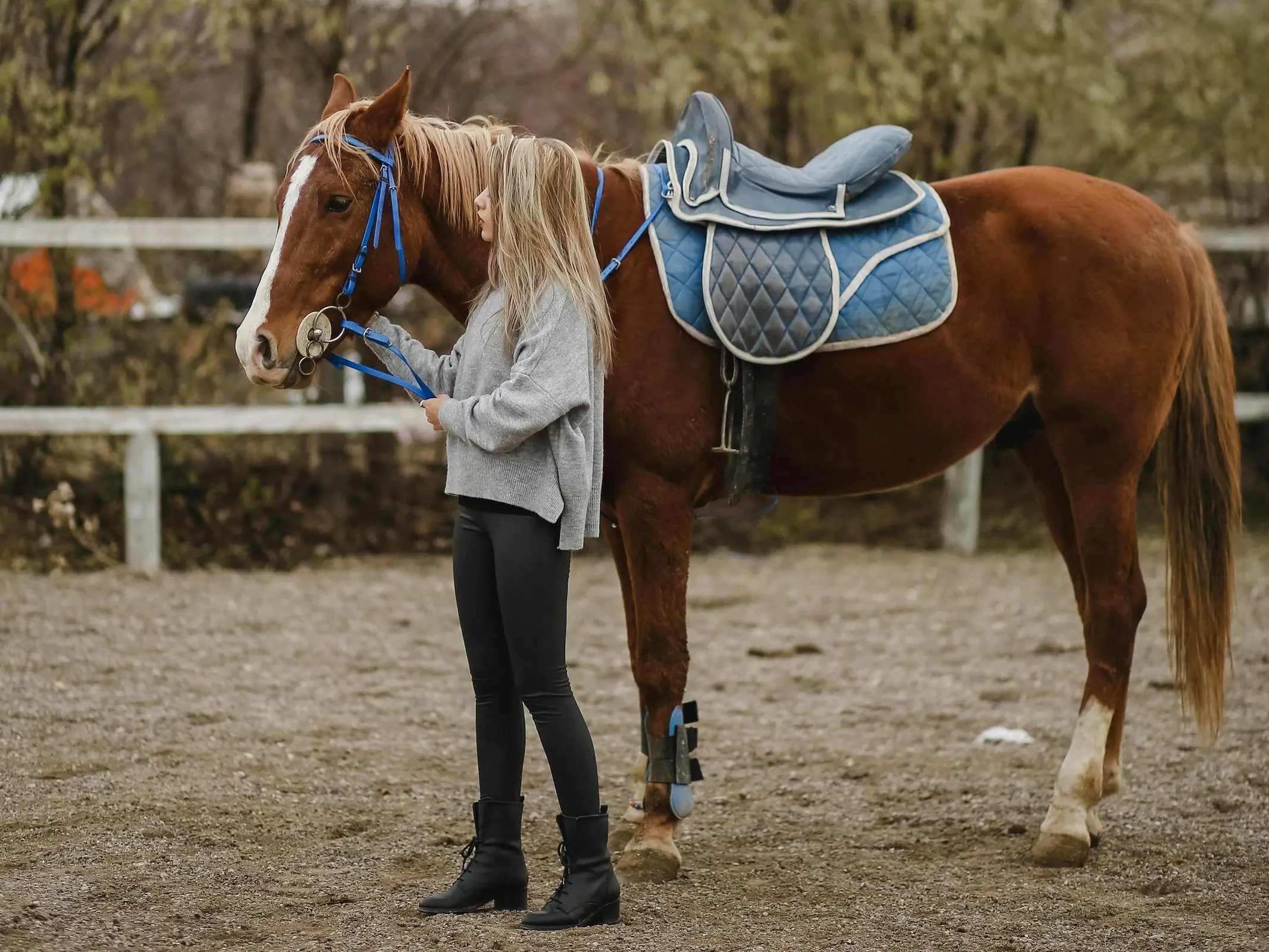 Red flaxen horse