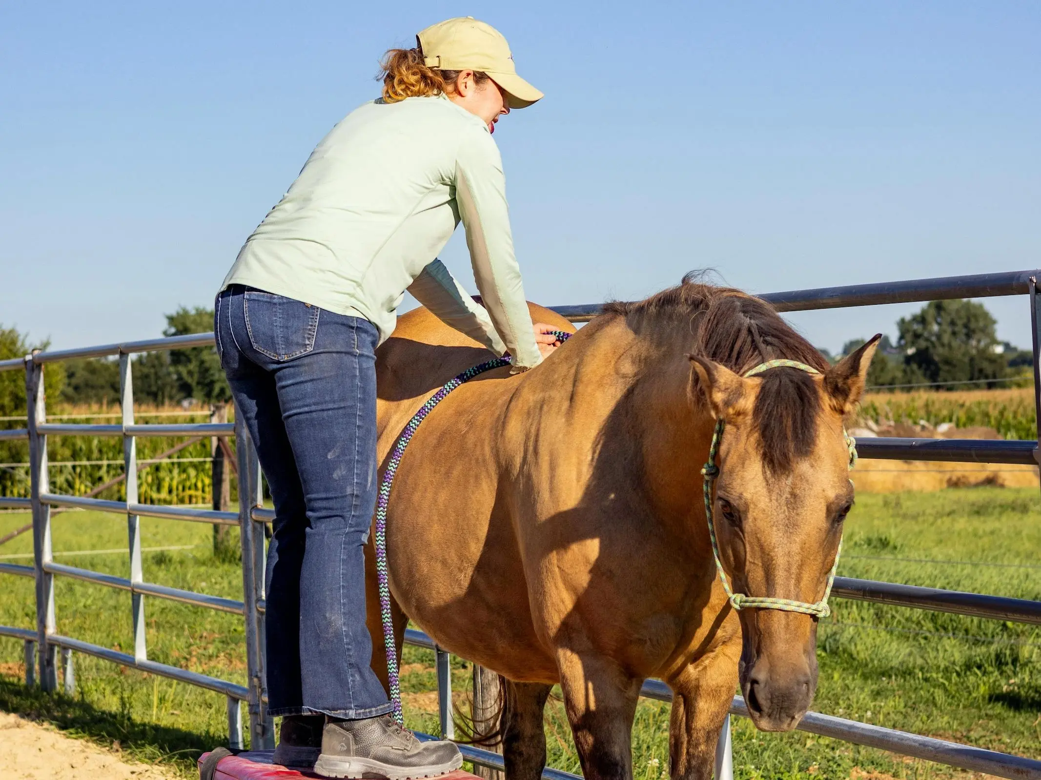 Woman rehabbing a horse