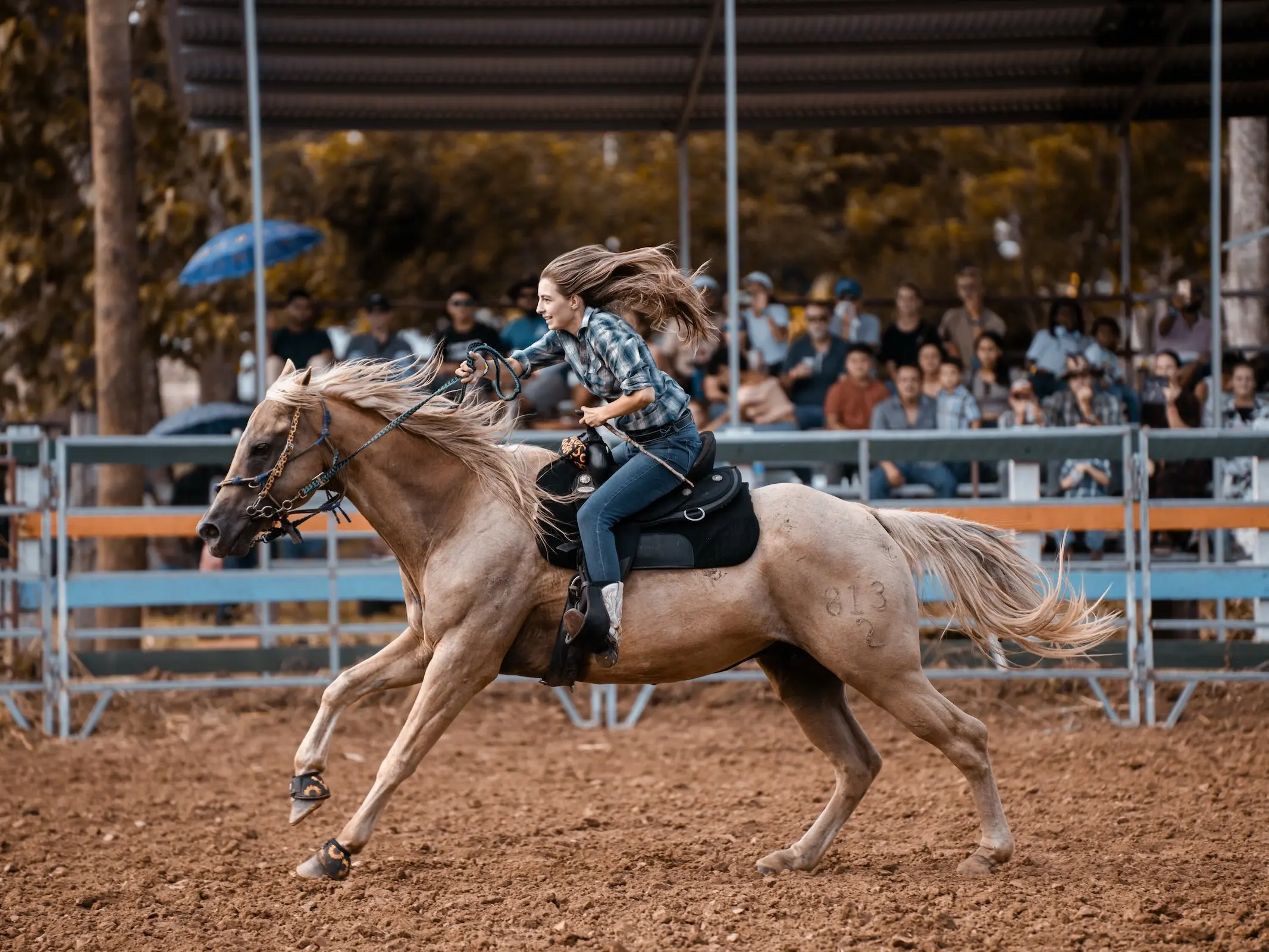 woman on a horse