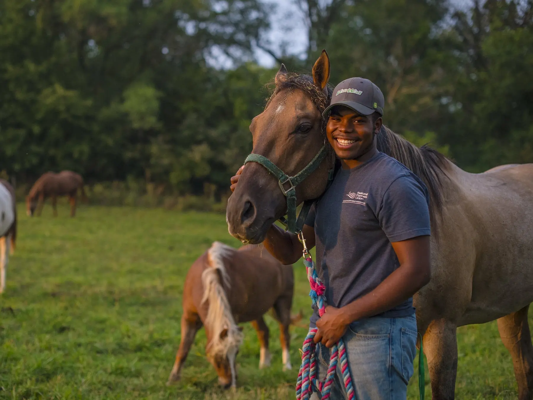 Equine Organizations