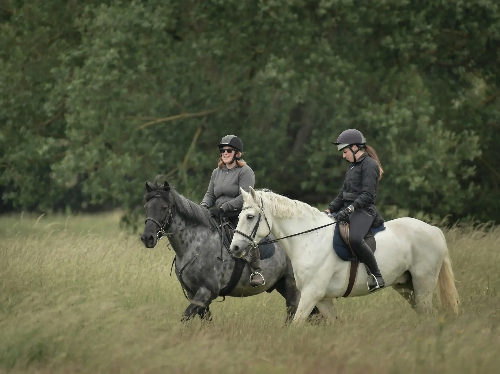 Horse with reverse dappling spots