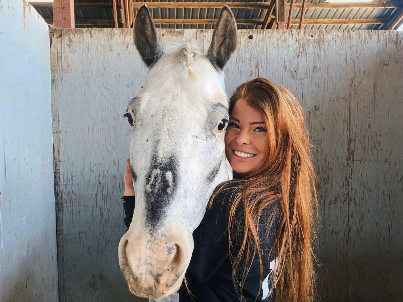 Horse with reverse face marking