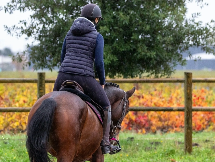 Horse and rider on the beach