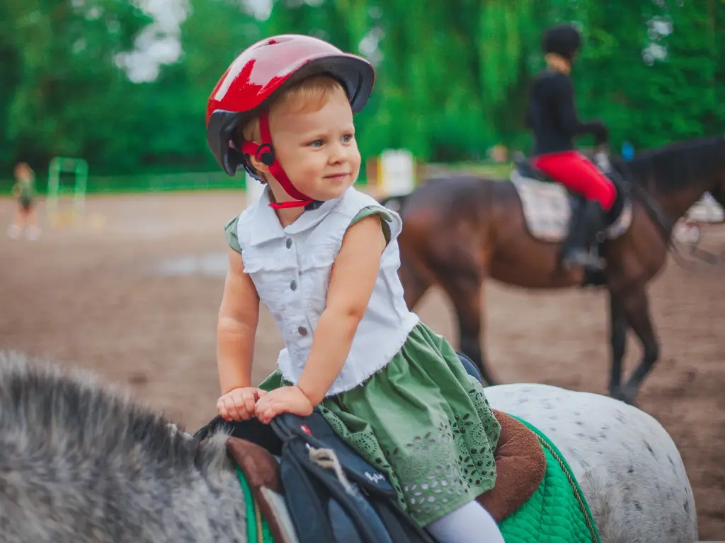 A young girl on a pony