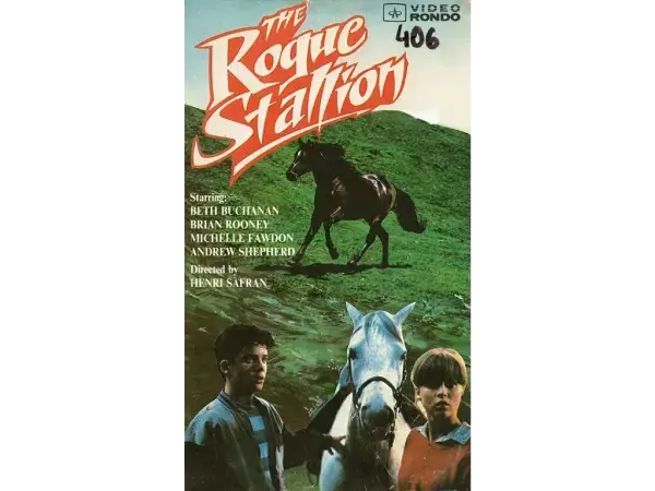 The Rogue Stallion