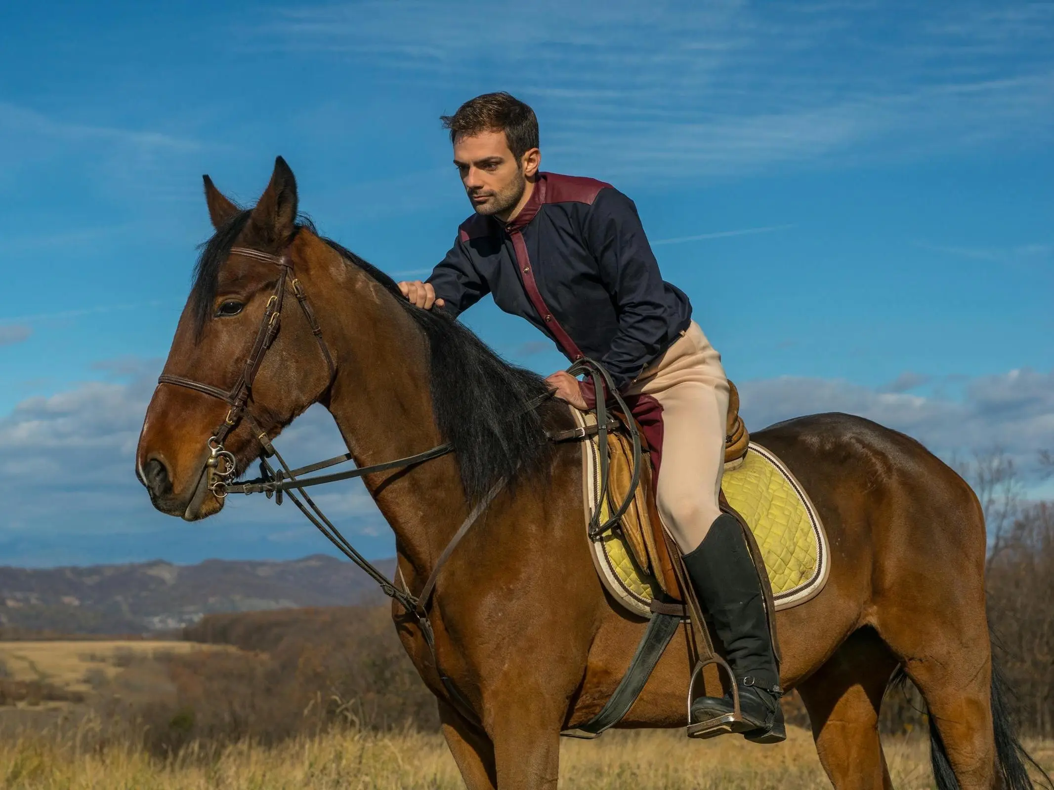 Romanian Saddle Horse