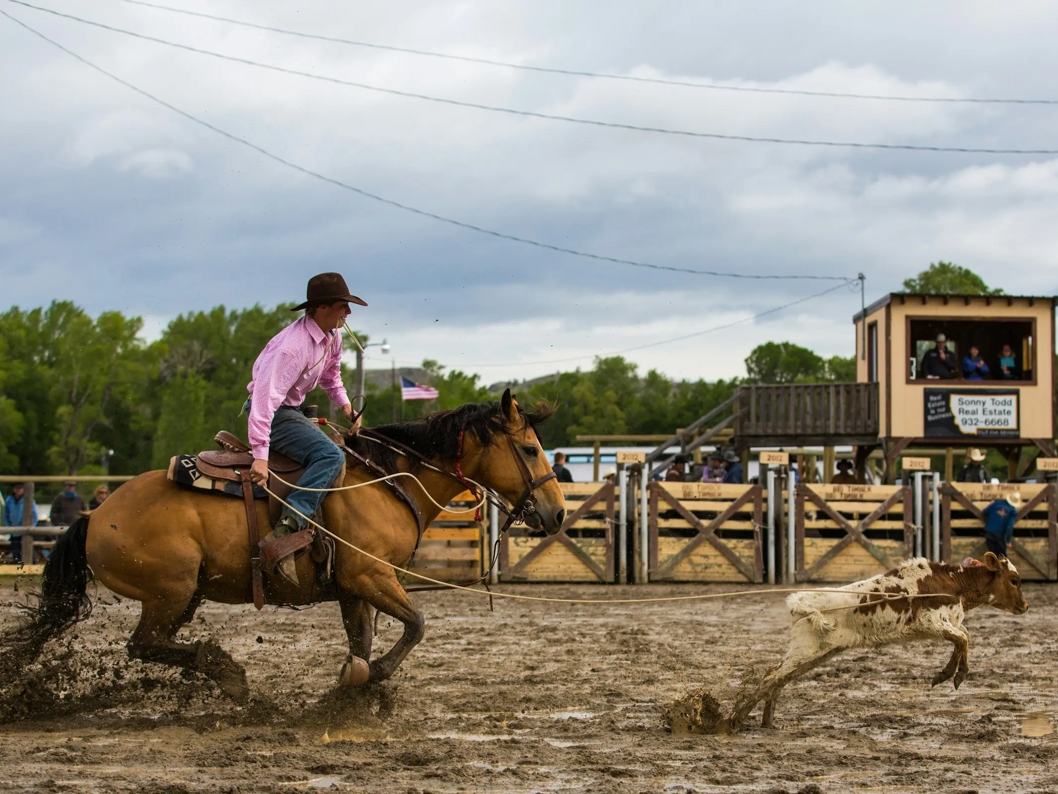 Horse care