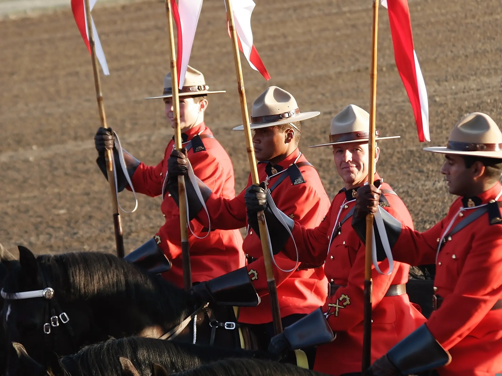Royal Canadian Mounted Police Horse