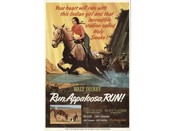 Run, Appaloosa, Run