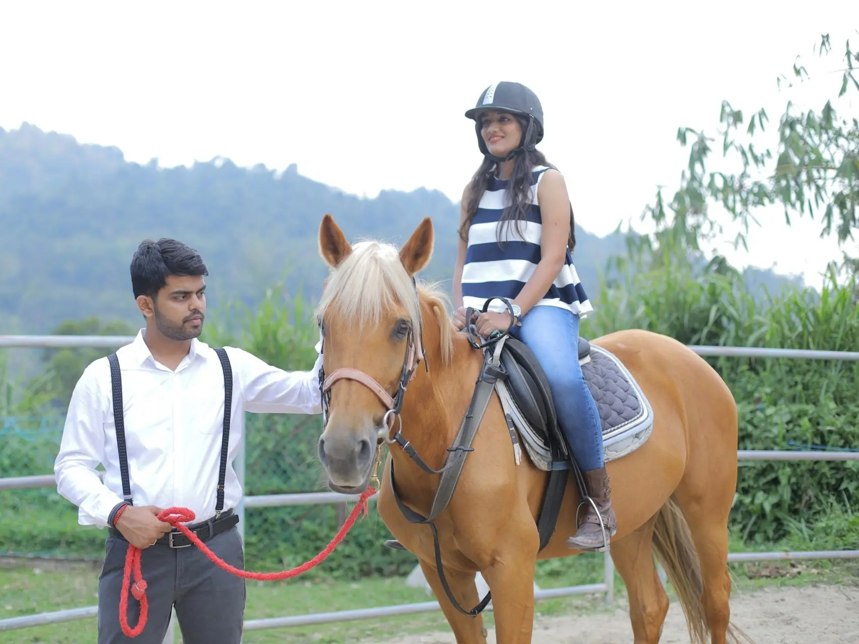 Sandy flaxen horse