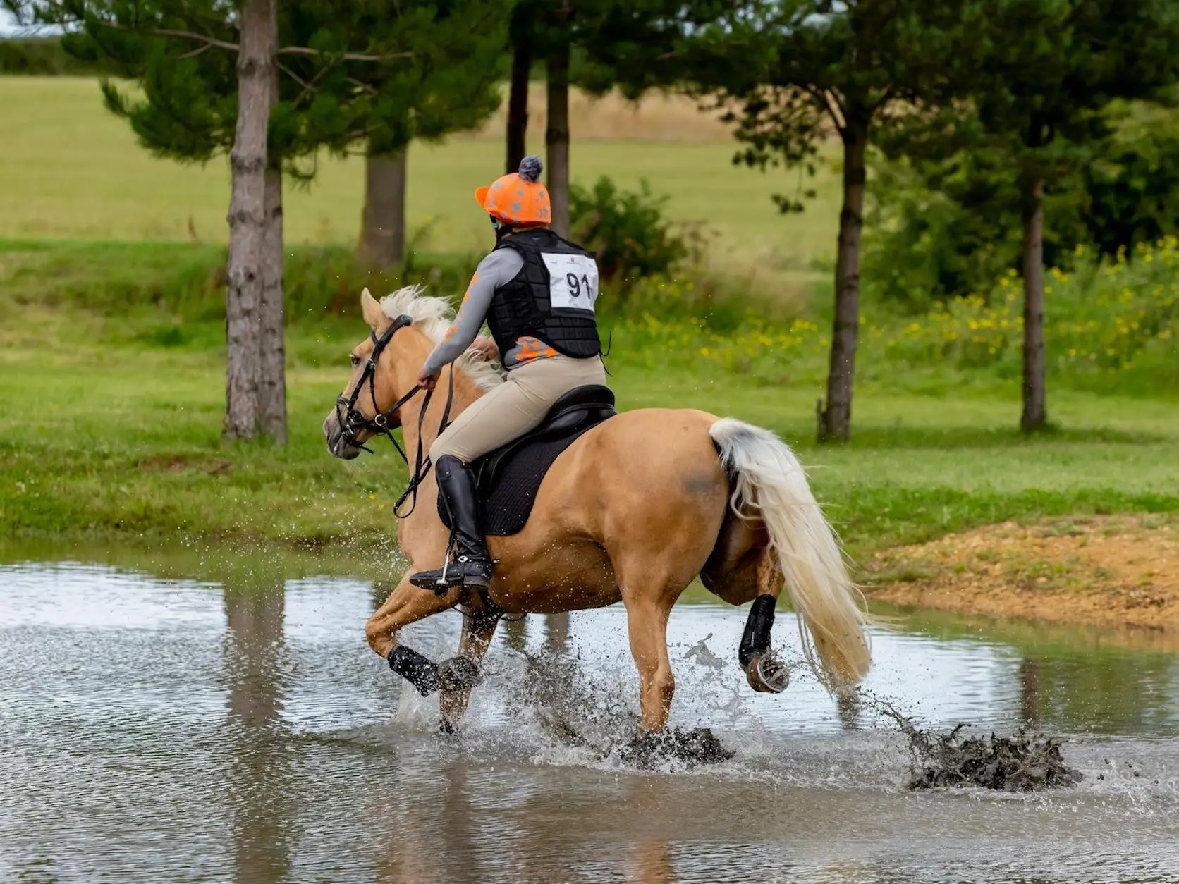 Chestnut flaxen horse