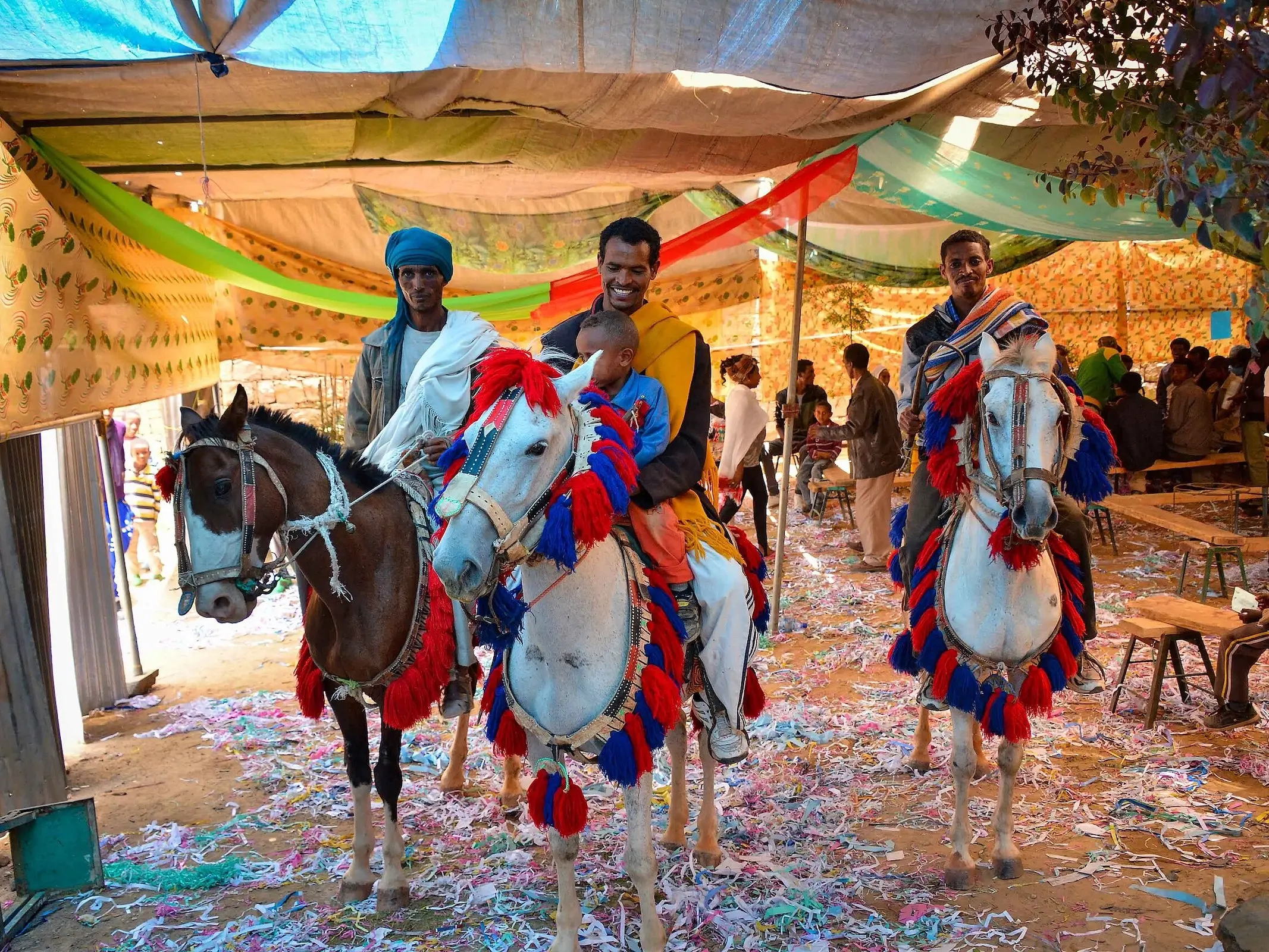 Selale or Oromo Horse