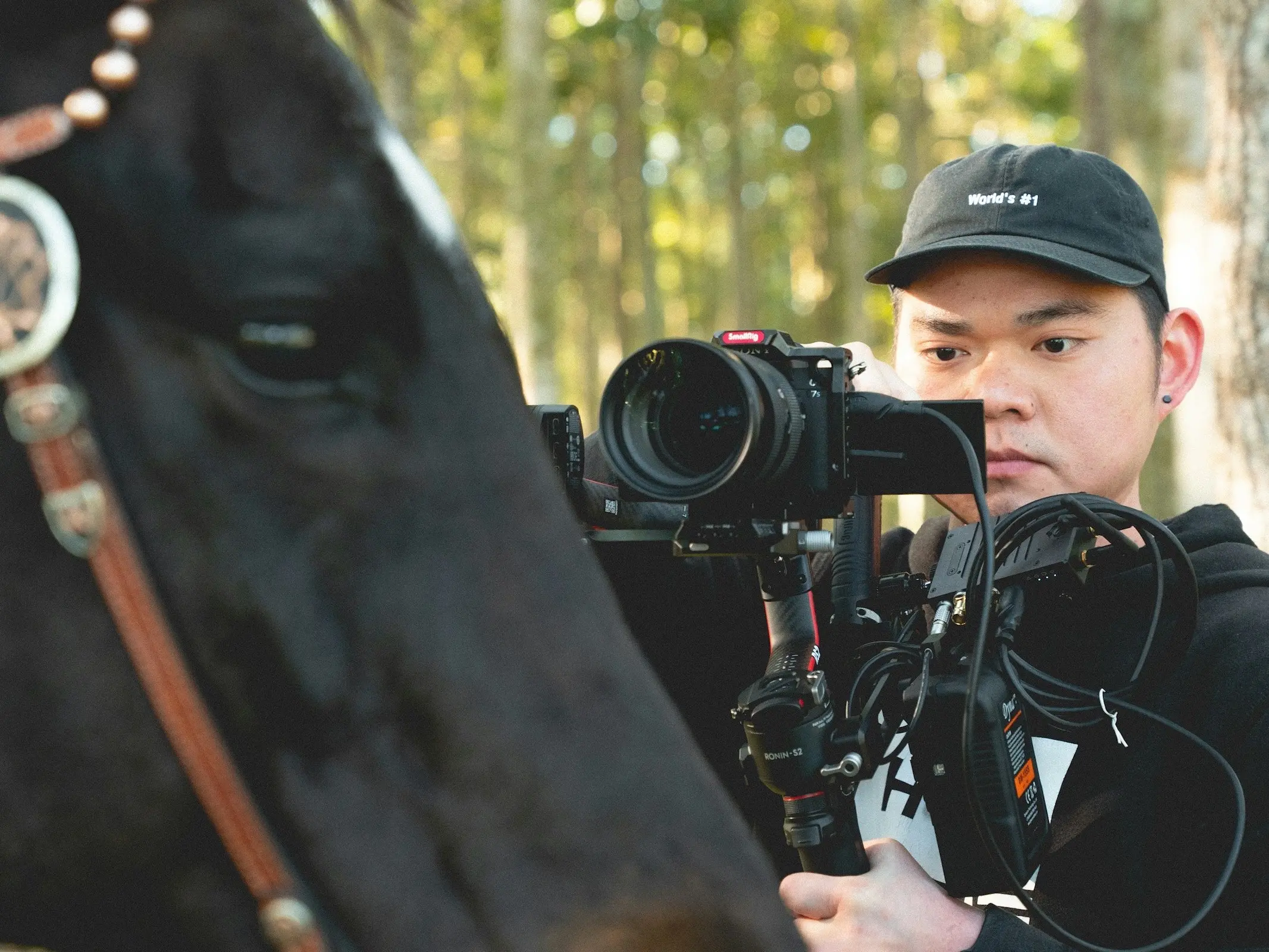 man photographing a horse