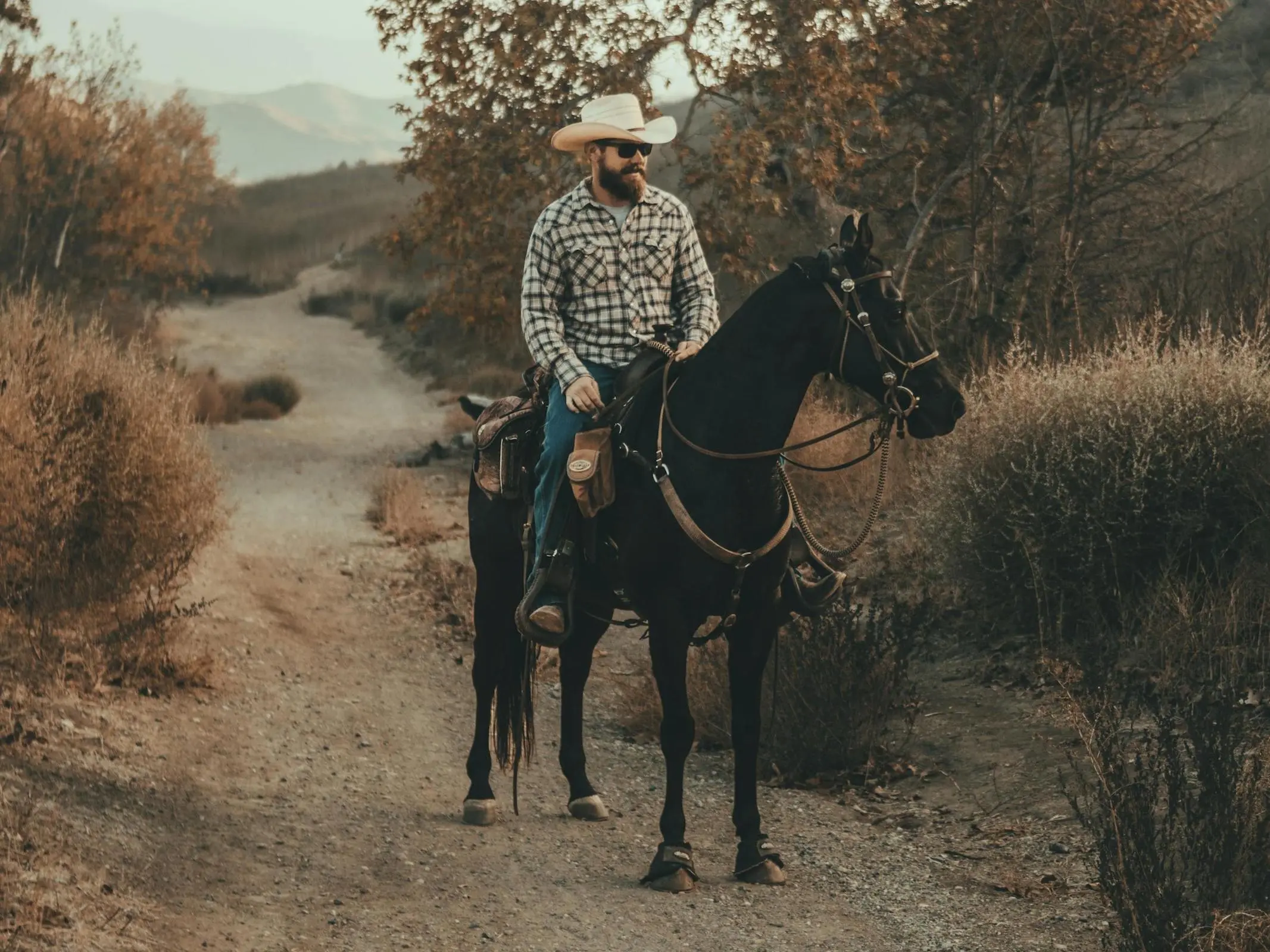 Single-Footing Horse