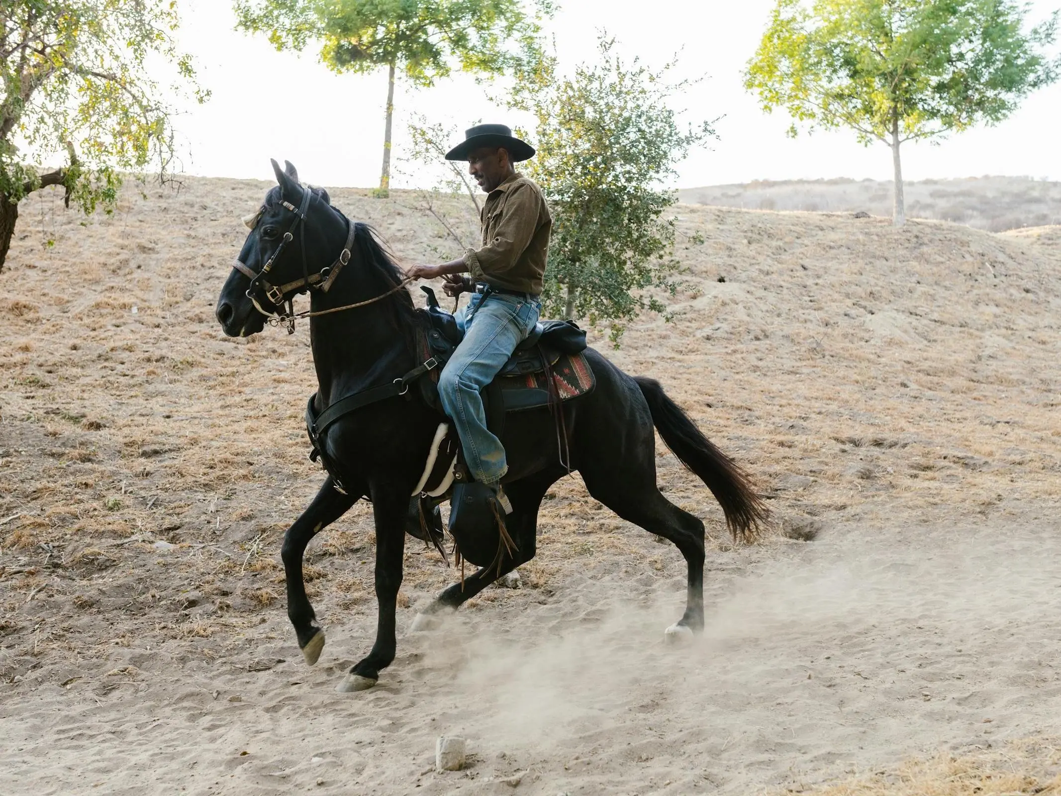 Single-Footing Horse