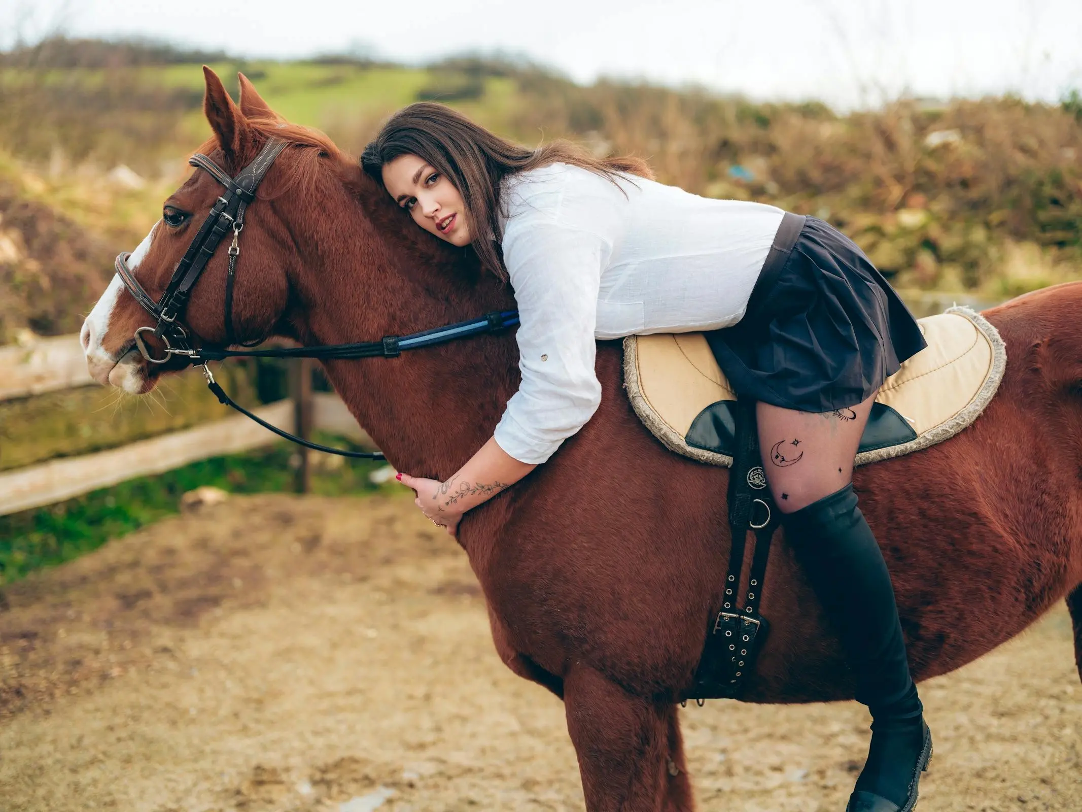 Slovak Sport Pony