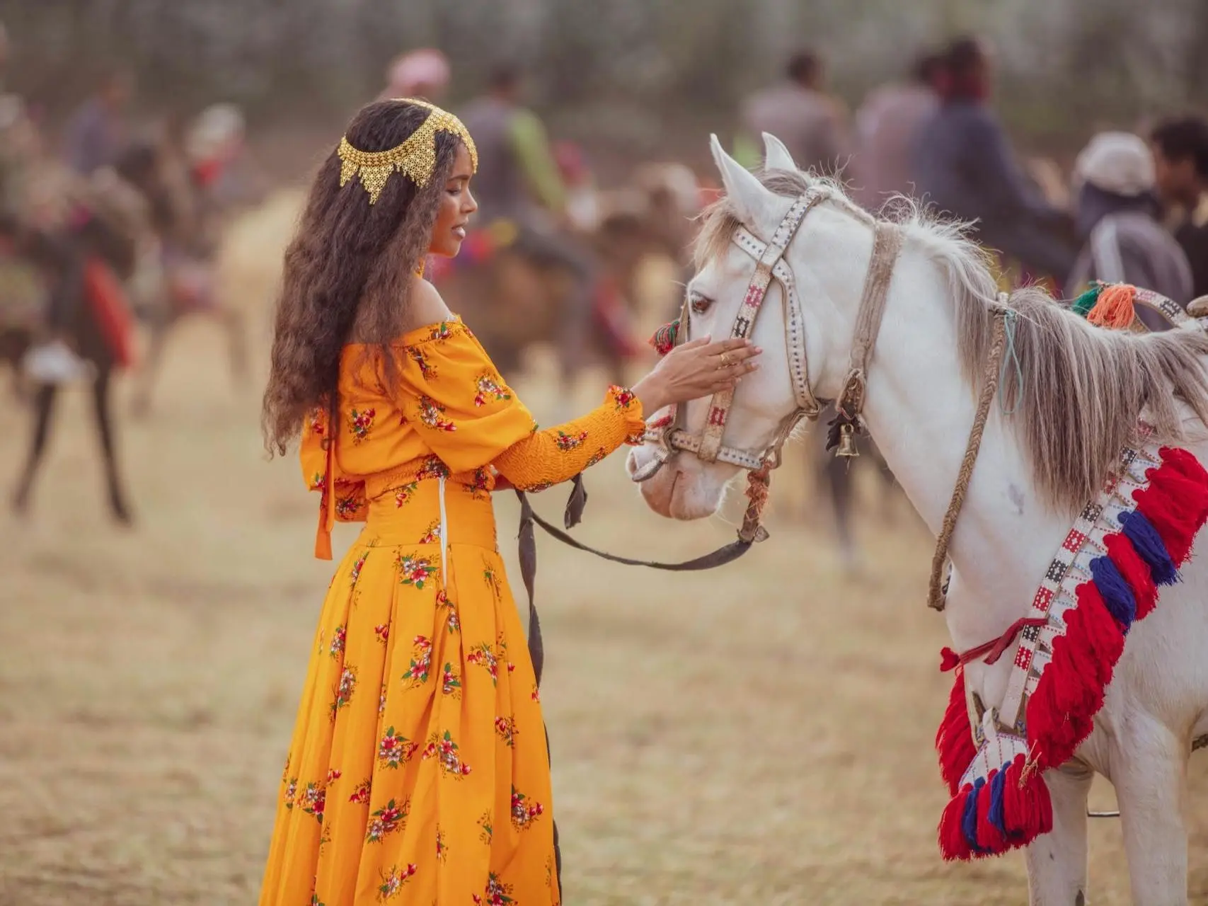 Smoky cream horse