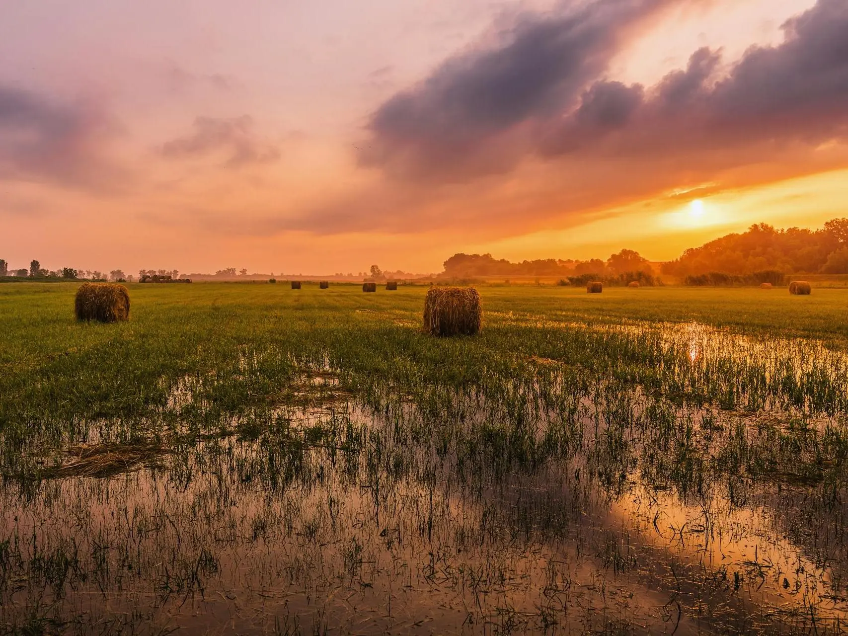 Hay bales sitting in a wet field