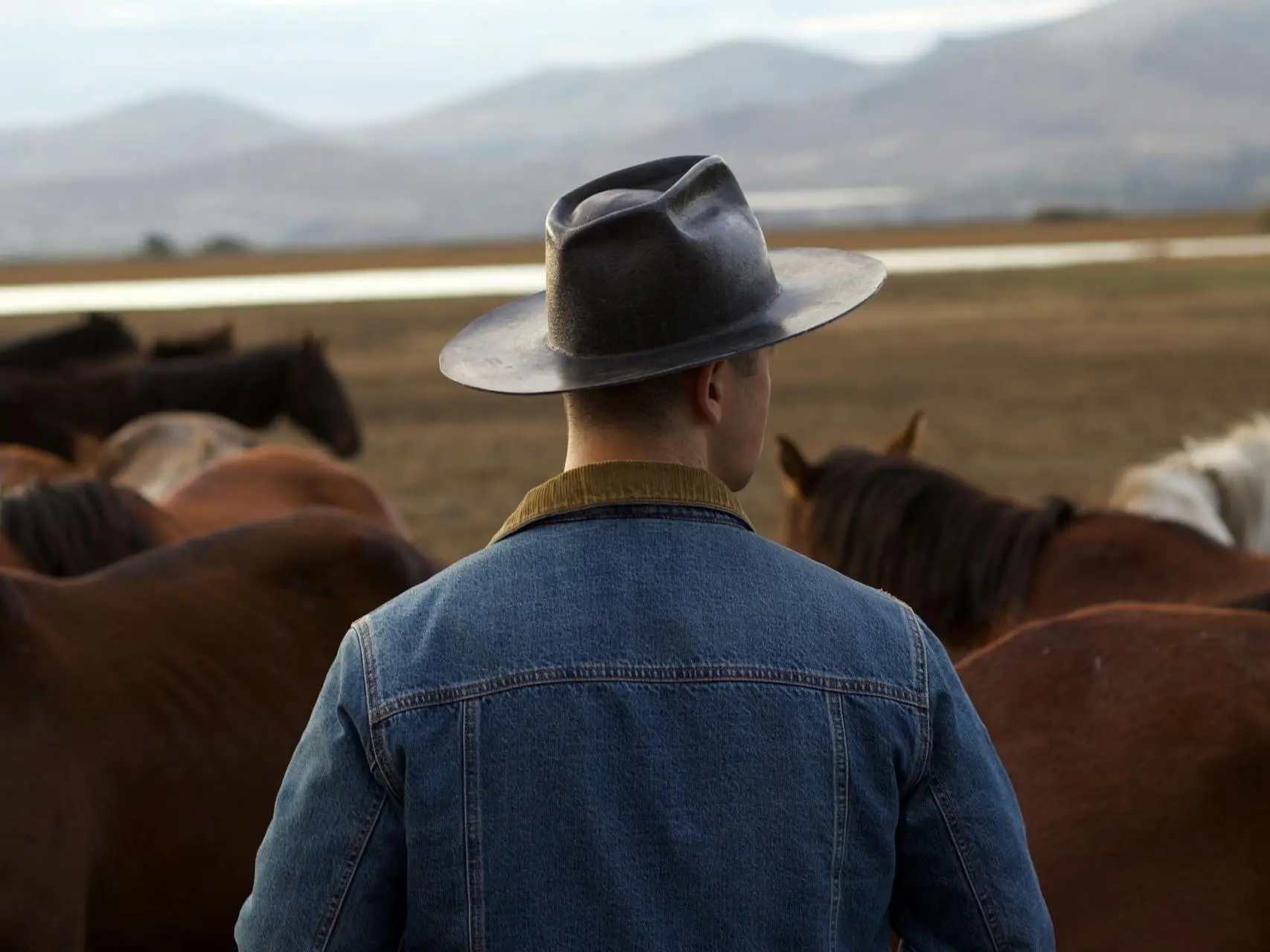 Man standing next to horses with his back to the camera