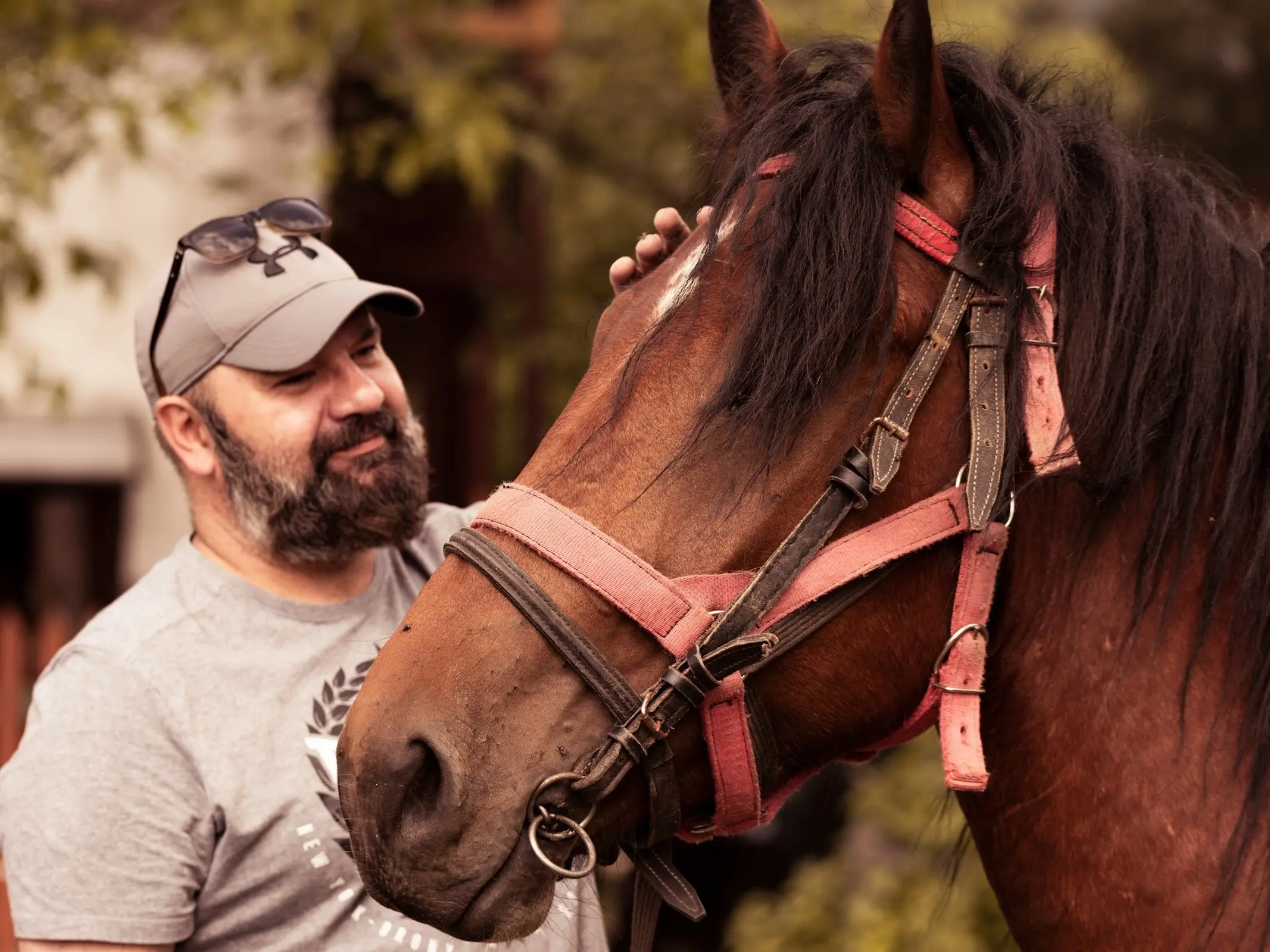 Sokolsky Horse