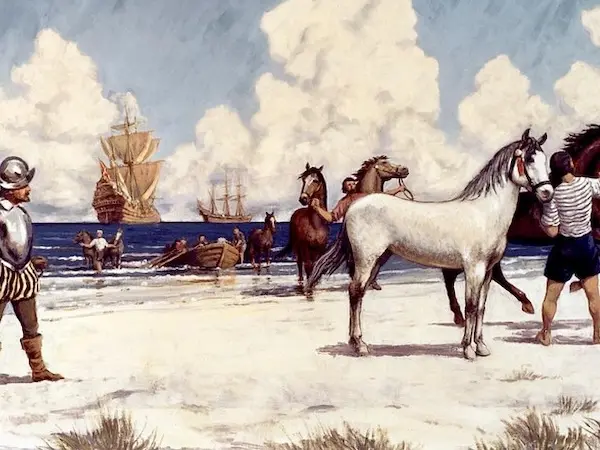 Spanish horses landing on a beach