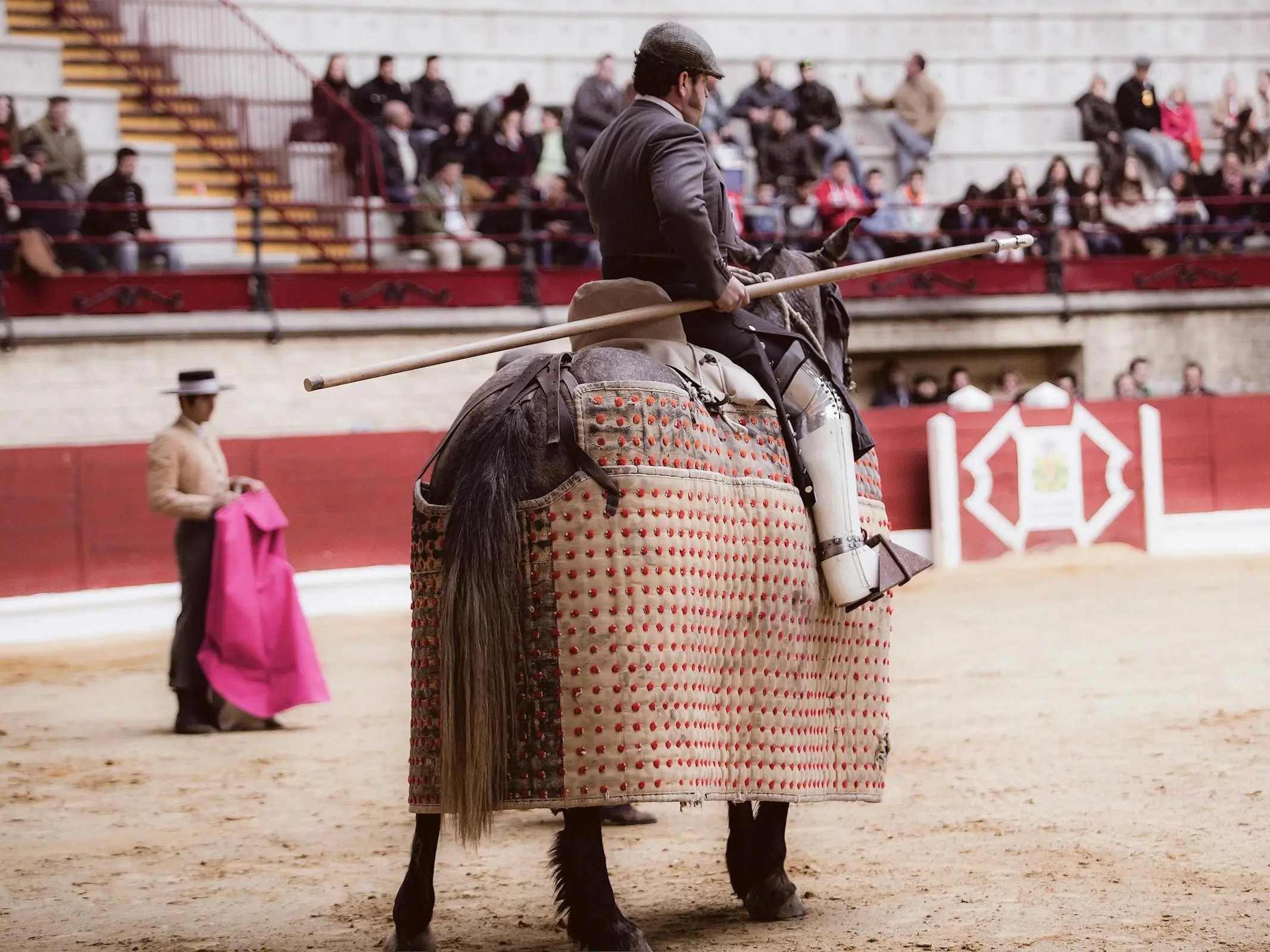 Spanish Norman Horse