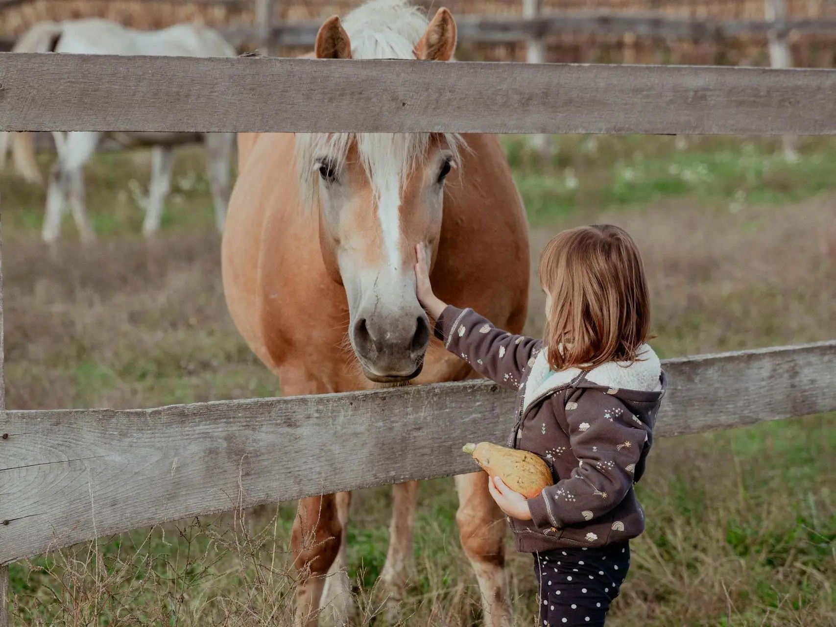 Girl holding a squash petting a horse