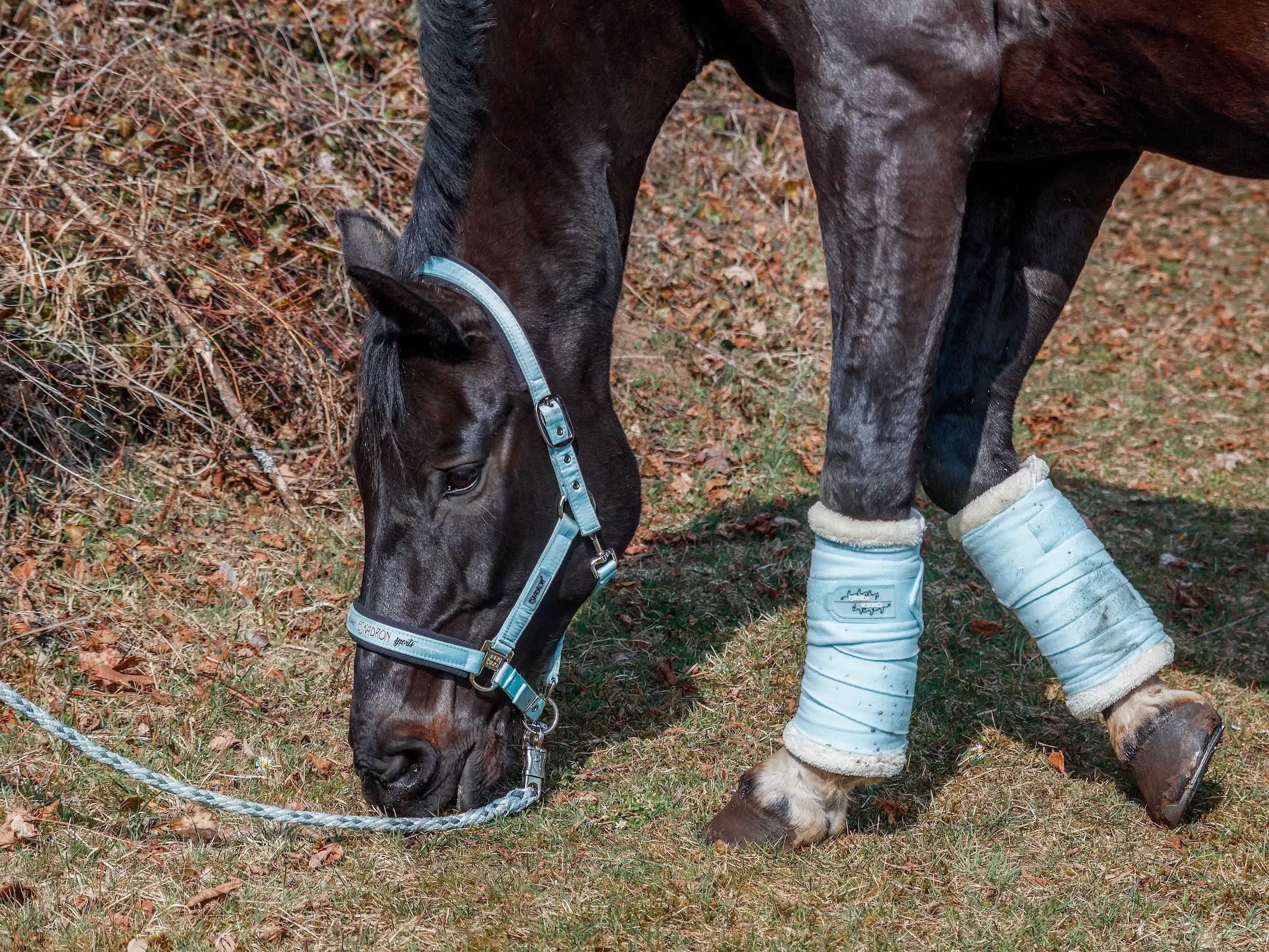 Standing Wraps