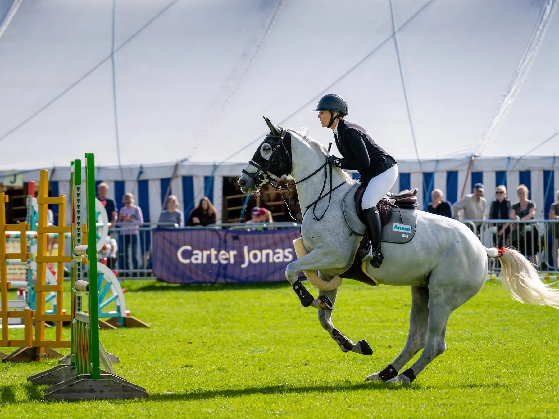 Horse jumping a fence