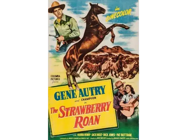 Strawberry Roan