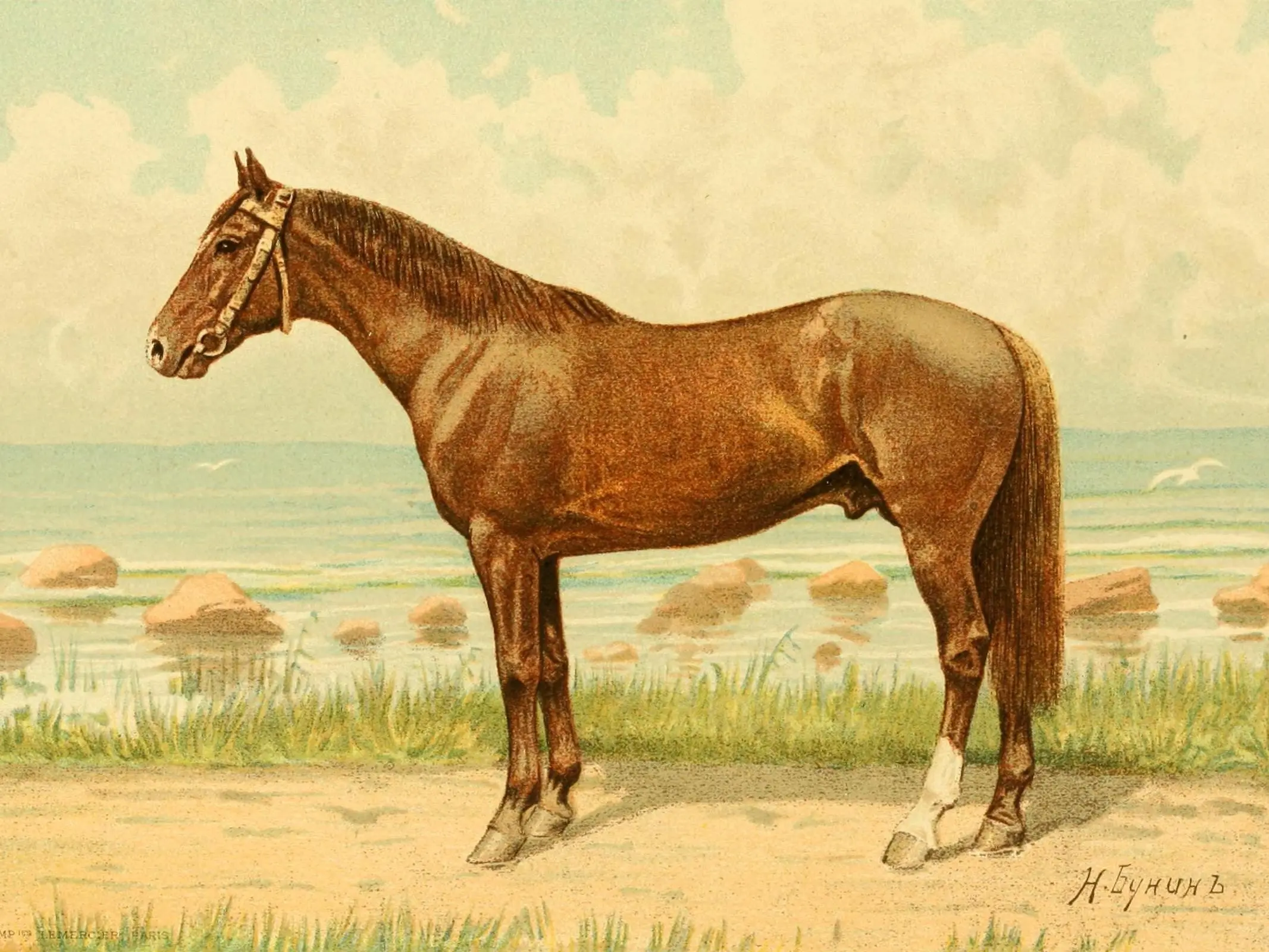 Strelets Horse