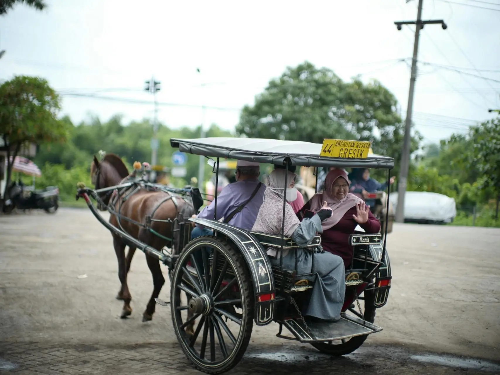 Sumbawa Pony