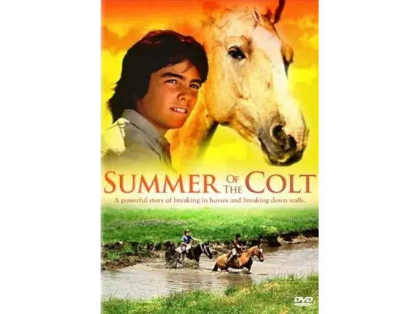 Summer of the Colt